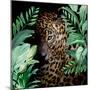 Jungle Leopard-Kimberly Allen-Mounted Art Print