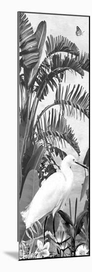 Jungle Noir - Egret-Amy Shaw-Mounted Giclee Print