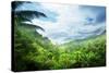 Jungle of Seychelles Island-Iakov Kalinin-Stretched Canvas