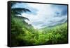 Jungle of Seychelles Island-Iakov Kalinin-Framed Stretched Canvas