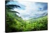 Jungle of Seychelles Island-Iakov Kalinin-Stretched Canvas