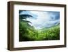 Jungle of Seychelles Island-Iakov Kalinin-Framed Photographic Print