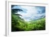 Jungle of Seychelles Island-Iakov Kalinin-Framed Photographic Print