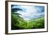 Jungle of Seychelles Island-Iakov Kalinin-Framed Photographic Print