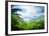 Jungle of Seychelles Island-Iakov Kalinin-Framed Photographic Print