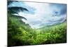 Jungle of Seychelles Island-Iakov Kalinin-Mounted Photographic Print