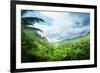 Jungle of Seychelles Island-Iakov Kalinin-Framed Photographic Print