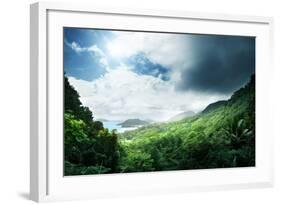 Jungle of Seychelles Island-Iakov Kalinin-Framed Photographic Print