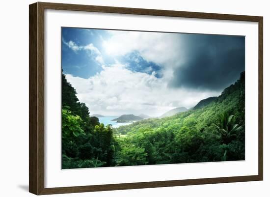 Jungle of Seychelles Island-Iakov Kalinin-Framed Photographic Print