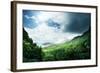 Jungle of Seychelles Island-Iakov Kalinin-Framed Photographic Print