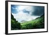 Jungle of Seychelles Island-Iakov Kalinin-Framed Photographic Print