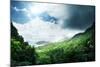 Jungle of Seychelles Island-Iakov Kalinin-Mounted Photographic Print