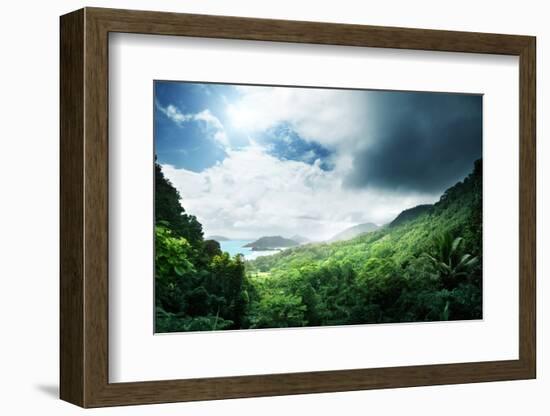 Jungle of Seychelles Island-Iakov Kalinin-Framed Photographic Print