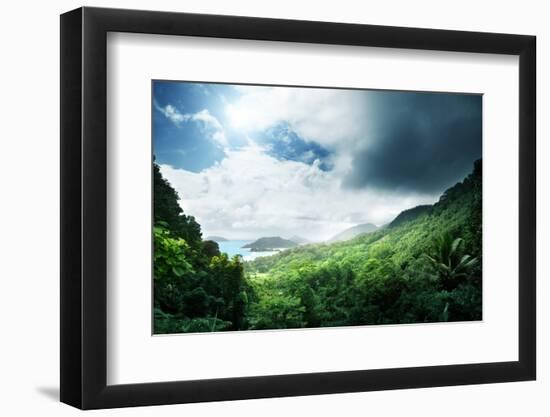 Jungle of Seychelles Island-Iakov Kalinin-Framed Photographic Print