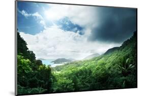 Jungle of Seychelles Island-Iakov Kalinin-Mounted Photographic Print