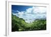 Jungle of Seychelles Island-Iakov Kalinin-Framed Photographic Print