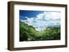 Jungle of Seychelles Island-Iakov Kalinin-Framed Photographic Print