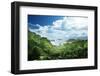 Jungle of Seychelles Island-Iakov Kalinin-Framed Photographic Print