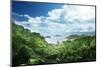 Jungle of Seychelles Island-Iakov Kalinin-Mounted Photographic Print