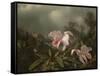 Jungle Orchids and Hummingbirds, 1872-Martin Johnson Heade-Framed Stretched Canvas