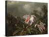 Jungle Orchids and Hummingbirds, 1872-Martin Johnson Heade-Stretched Canvas