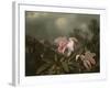 Jungle Orchids and Hummingbirds, 1872-Martin Johnson Heade-Framed Giclee Print