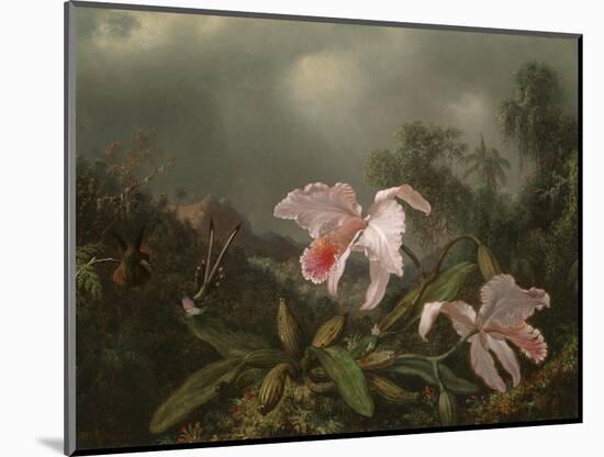 Jungle Orchids and Hummingbirds, 1872-Martin Johnson Heade-Mounted Giclee Print