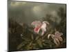 Jungle Orchids and Hummingbirds, 1872-Martin Johnson Heade-Mounted Giclee Print