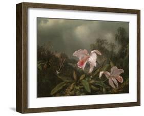 Jungle Orchids and Hummingbirds, 1872-Martin Johnson Heade-Framed Giclee Print