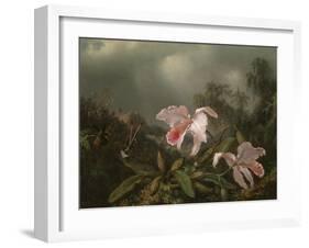 Jungle Orchids and Hummingbirds, 1872-Martin Johnson Heade-Framed Giclee Print