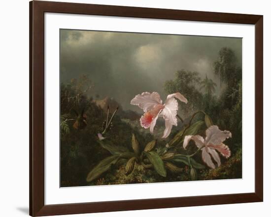 Jungle Orchids and Hummingbirds, 1872-Martin Johnson Heade-Framed Giclee Print