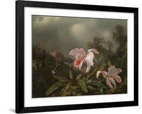 Jungle Orchids and Hummingbirds, 1872-Martin Johnson Heade-Framed Giclee Print