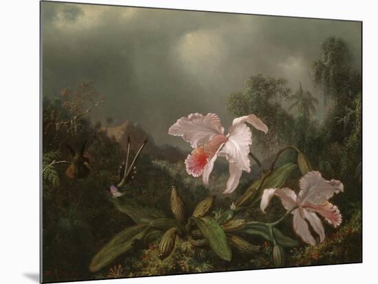 Jungle Orchids and Hummingbirds, 1872-Martin Johnson Heade-Mounted Giclee Print