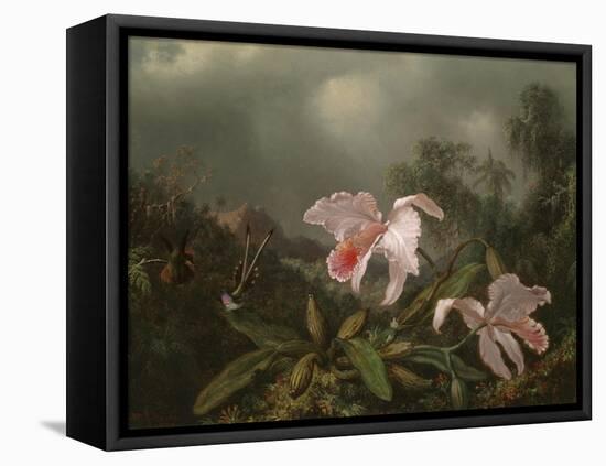 Jungle Orchids and Hummingbirds, 1872-Martin Johnson Heade-Framed Stretched Canvas