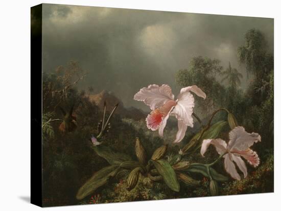 Jungle Orchids and Hummingbirds, 1872-Martin Johnson Heade-Stretched Canvas