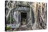 Jungle Overgrowth at Ta Prohm Temple (Rajavihara)-Michael Nolan-Stretched Canvas