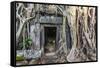 Jungle Overgrowth at Ta Prohm Temple (Rajavihara)-Michael Nolan-Framed Stretched Canvas