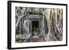 Jungle Overgrowth at Ta Prohm Temple (Rajavihara)-Michael Nolan-Framed Photographic Print