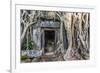 Jungle Overgrowth at Ta Prohm Temple (Rajavihara)-Michael Nolan-Framed Photographic Print