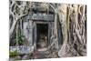 Jungle Overgrowth at Ta Prohm Temple (Rajavihara)-Michael Nolan-Mounted Photographic Print