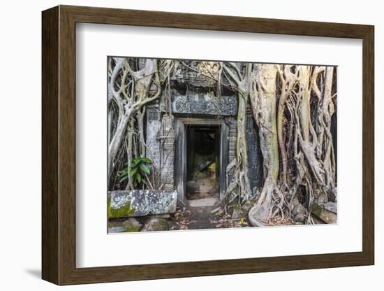 Jungle Overgrowth at Ta Prohm Temple (Rajavihara)-Michael Nolan-Framed Photographic Print