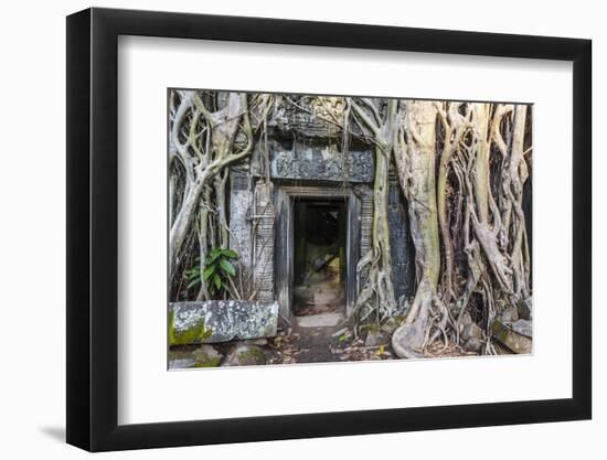 Jungle Overgrowth at Ta Prohm Temple (Rajavihara)-Michael Nolan-Framed Photographic Print