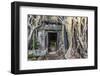 Jungle Overgrowth at Ta Prohm Temple (Rajavihara)-Michael Nolan-Framed Photographic Print