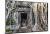 Jungle Overgrowth at Ta Prohm Temple (Rajavihara)-Michael Nolan-Mounted Photographic Print