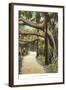 Jungle, Palm Beach, Florida-null-Framed Art Print