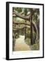 Jungle, Palm Beach, Florida-null-Framed Art Print