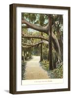 Jungle, Palm Beach, Florida-null-Framed Art Print