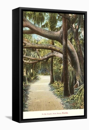 Jungle, Palm Beach, Florida-null-Framed Stretched Canvas