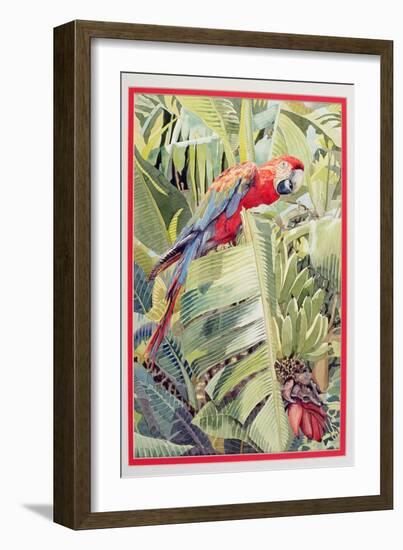 Jungle Parrot-Felicity House-Framed Giclee Print