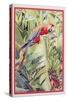 Jungle Parrot-Felicity House-Stretched Canvas